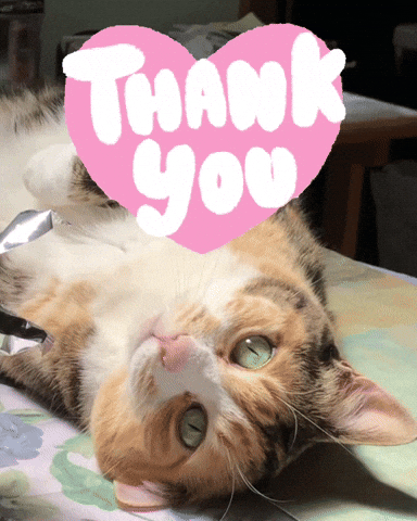 Cat Thank You Gif By Yevbel Find Share On Giphy
