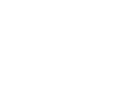 plenafisioterapia Sticker