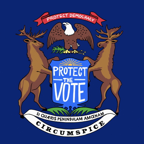 Voting Rights Eagle GIF by Creative Courage