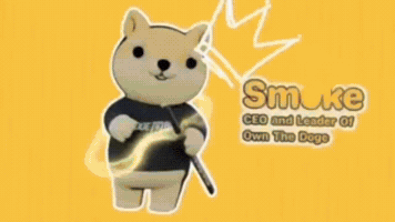 Team Dogecoin GIF by Own The Doge