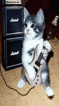 rock n roll cat GIF