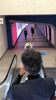 200.gif?cid=fc005b08a775f71b97d62add260cc1d4cd828113cf2d7632&rid=200.gif&ct=g