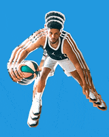 Sport Basketball GIF by Studio Ultradeluxe