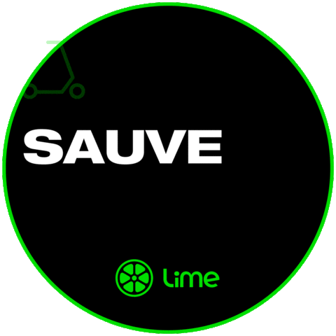 Lime Sticker