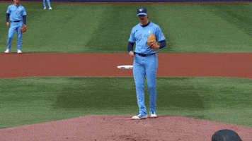 Blue Jays Baseball GIF by Toronto Blue Jays