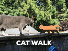 mobiles cat simon blue russian GIF