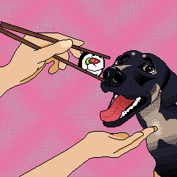 Dog Sushi GIF