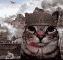 Warcat GIF