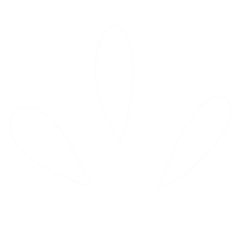 Shine Boho Sticker