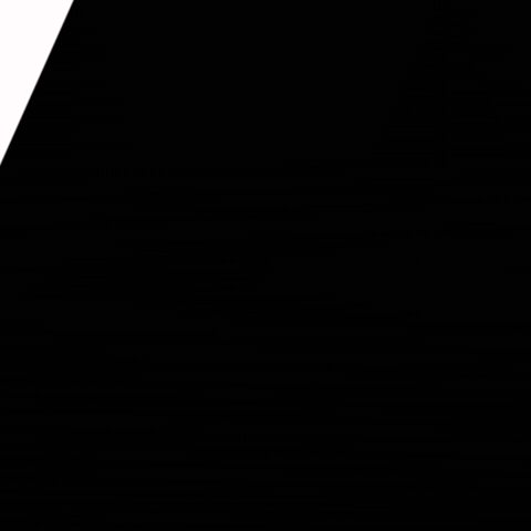 Observauto GIF