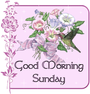 Digital illustration gif. Bouquet of pink and purple flowers with a hummingbird hovering nearby against a pink background. The whole card sparkles as text at the bottom reads, "Good morning Sunday."