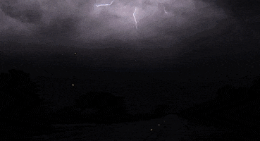 200.gif