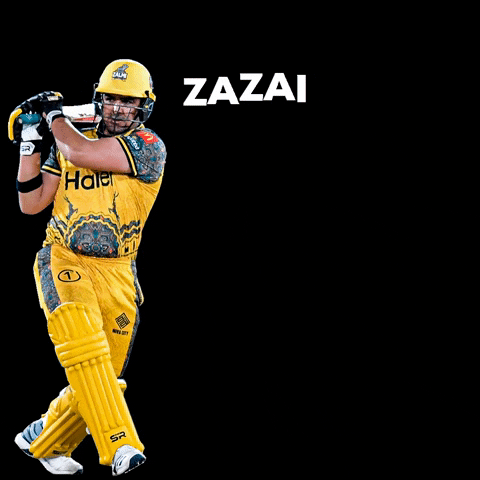 Zalmi GIF