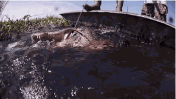 slow motion monster GIF by Swamp People