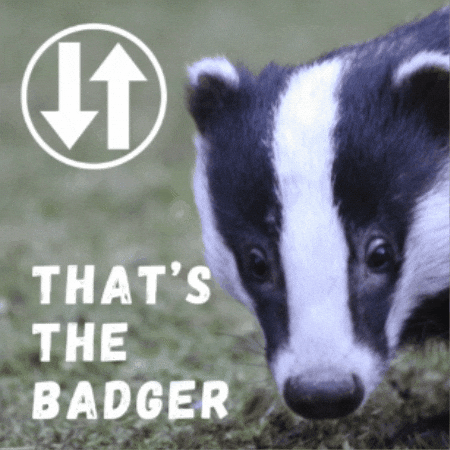 GIF by Warwickshire Arts