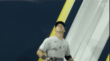 New York Yankees Catch GIF by Jomboy Media
