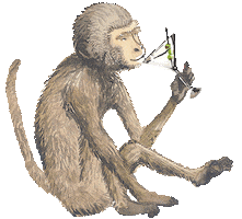 Illustration Monkey Sticker by Astek Home