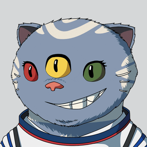 Cat Space GIF by Kitaro World
