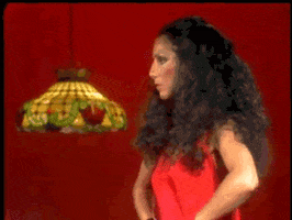 70s cher gif GIF