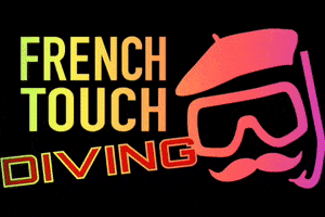 French Touch Diving GIF
