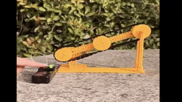 Animated GIF