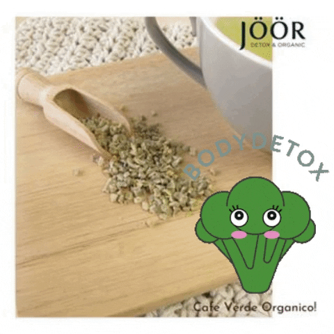 Joor Chile GIF