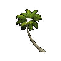 Veranoflexible Sticker by Avior Airlines