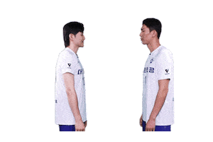 Jumbos Koreanair Sticker by kal_jbos