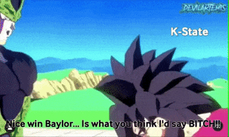 Baylor GIF