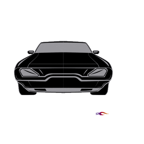 Boostane Colombia Sticker