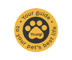 yourgi Sticker