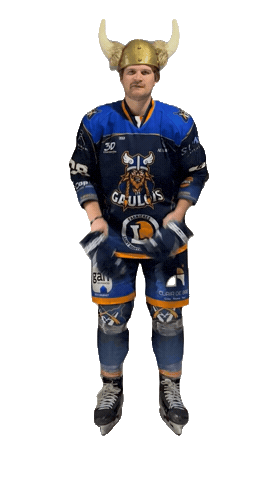 Celebration Goal Sticker by Hockey Club Châlonnais