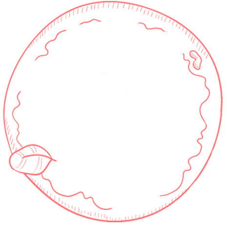 Pizza Sticker by raumwerk