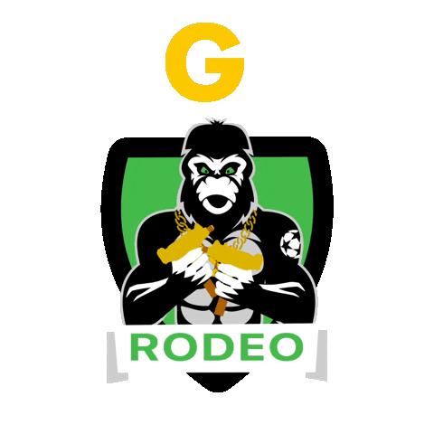 Soccer Goal Sticker by TJ SIGMA Rodeo