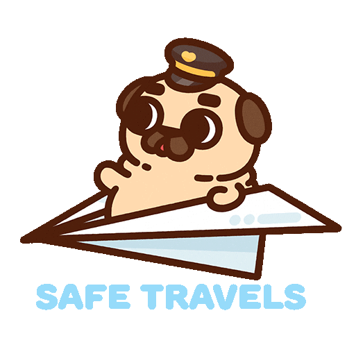 Travel Flying Sticker by Puglie Pug