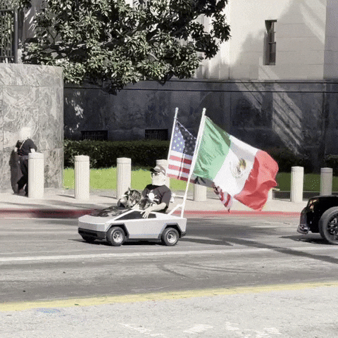 World Cup Mexico GIF by SWAGGY WOLFDOG