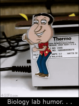giphy.gif#17-grid2