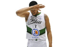 Ada Blois Sticker by ADA Blois Basket 41