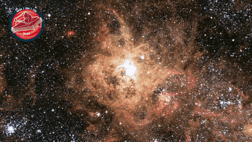 Travel Stars GIF by ESA Webb Space Telescope