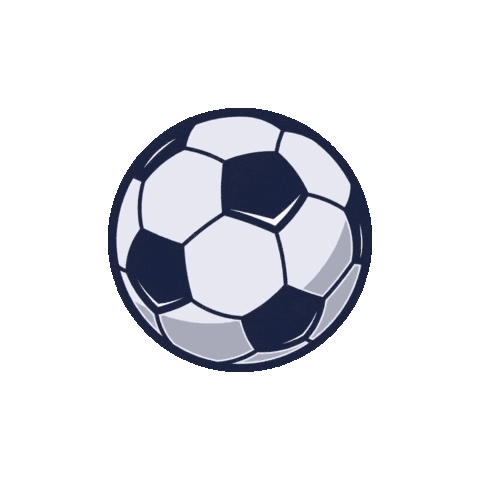 World Cup Soccer Sticker by DANA Senioreneinrichtungen
