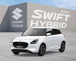 Suzuki Swift GIF by totanioffroad