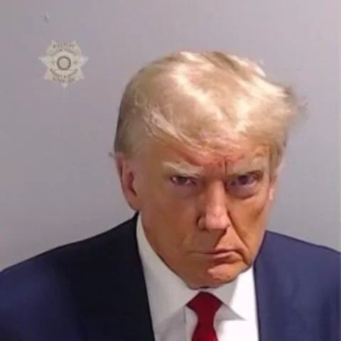Donald Trump GIF