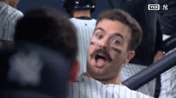New York Yankees Sport GIF by MLB