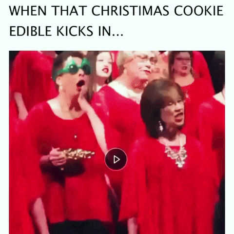 Christmas Cookie Singing GIF by Jessimae Peluso