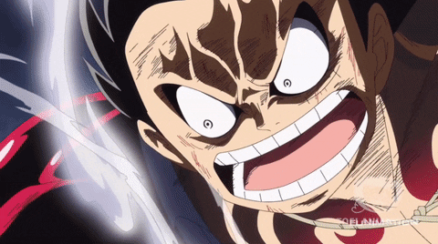 One Piece Anime GIFs | USAGIF.com