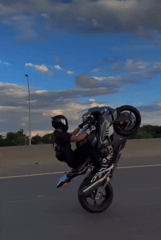S1Kdan GIF by Onlywheelies