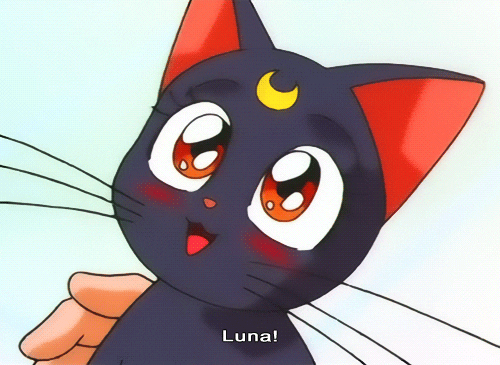 Aesthetic Sailor Moon Luna Largest Wallpaper Portal Aesthetic Sailor Moon Luna Largest Wallpaper Portal