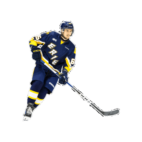 Ohl Sticker by OttersHockey