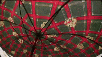 Jesse Frdm GIF