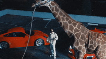 GIF by The Orchard